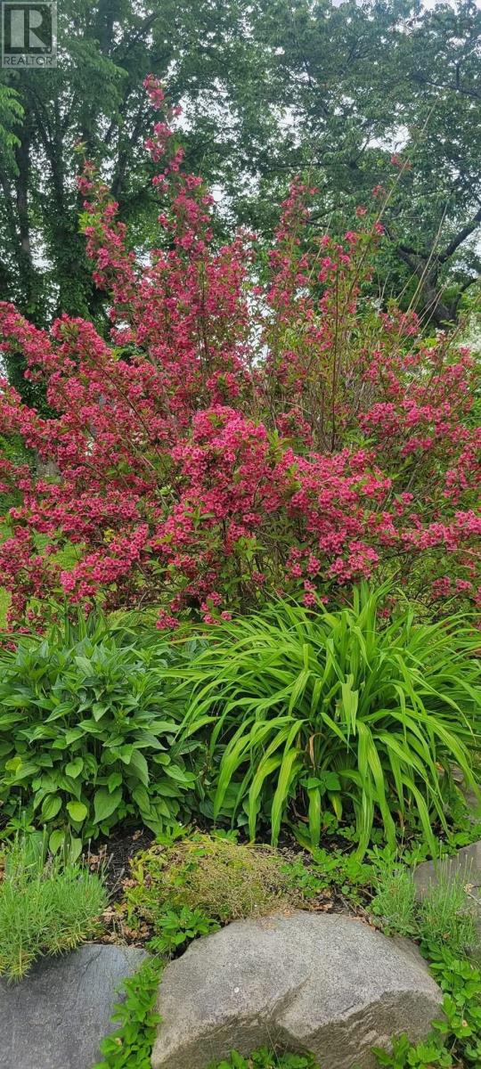 Property 7 of 28 of 99 Main Street