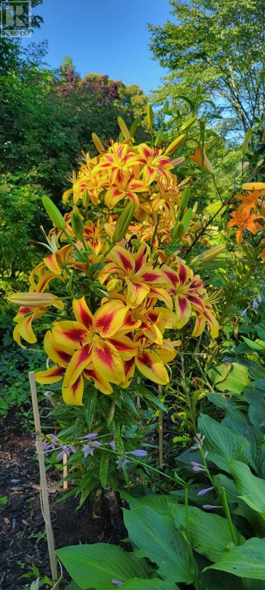 Property 10 of 28 of 99 Main Street