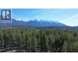Lot 2 Wardner Ft. Steele Road, Fort Steele, BC V0B2J0 Photo 7