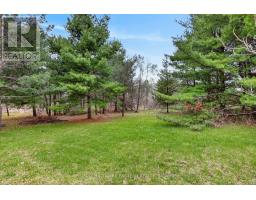 22 Winter Road, Trent Hills, ON K0K3K0 Photo 19