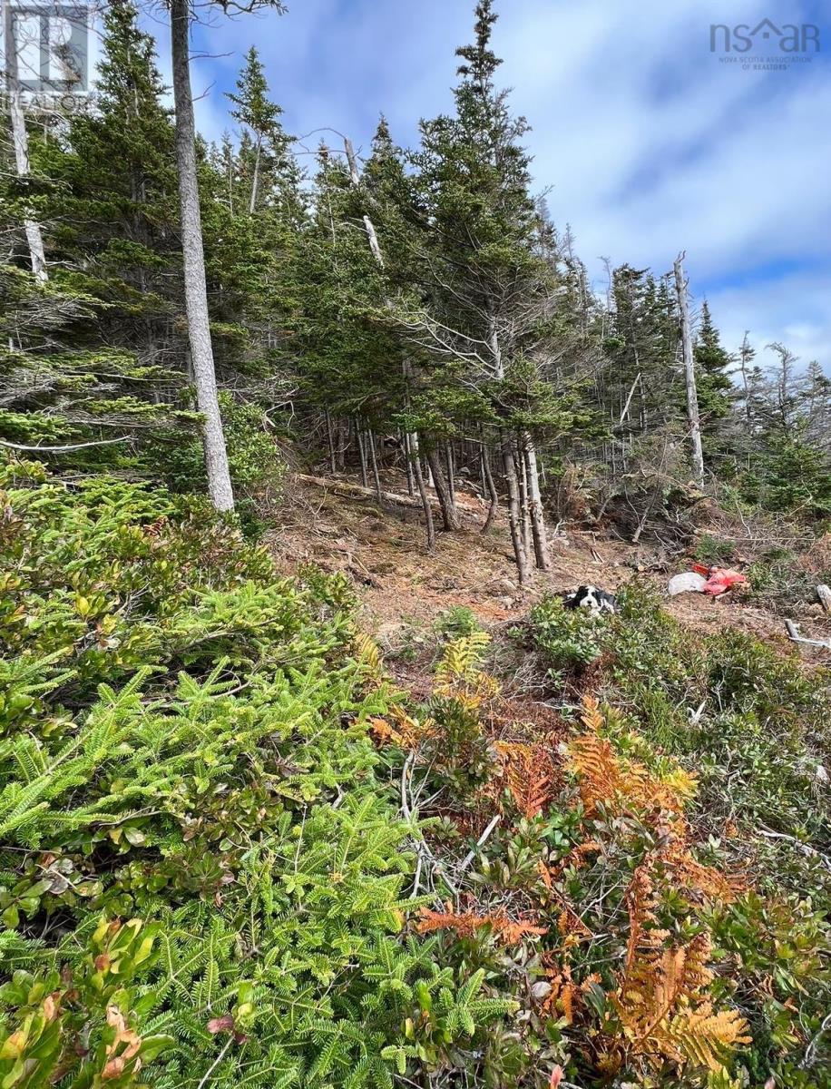 Property 10 of 19 of Lots Lower Lahave Road