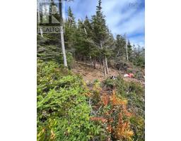 Lots Lower Lahave Road, Upper Kingsburg, NS B0J2X0 Photo 9