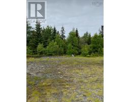 Lots Lower Lahave Road, Upper Kingsburg, NS B0J2X0 Photo 14