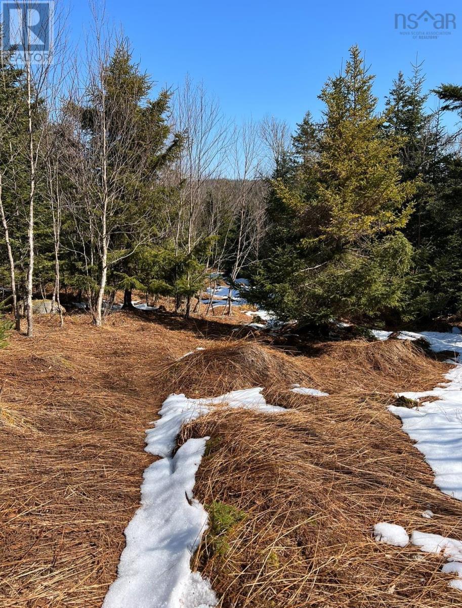 Property 12 of 19 of Lots Lower Lahave Road