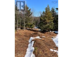 Lots Lower Lahave Road, Upper Kingsburg, NS B0J2X0 Photo 18