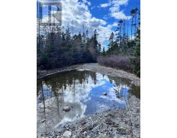 Lots Lower Lahave Road, Upper Kingsburg, NS B0J2X0 Photo 6