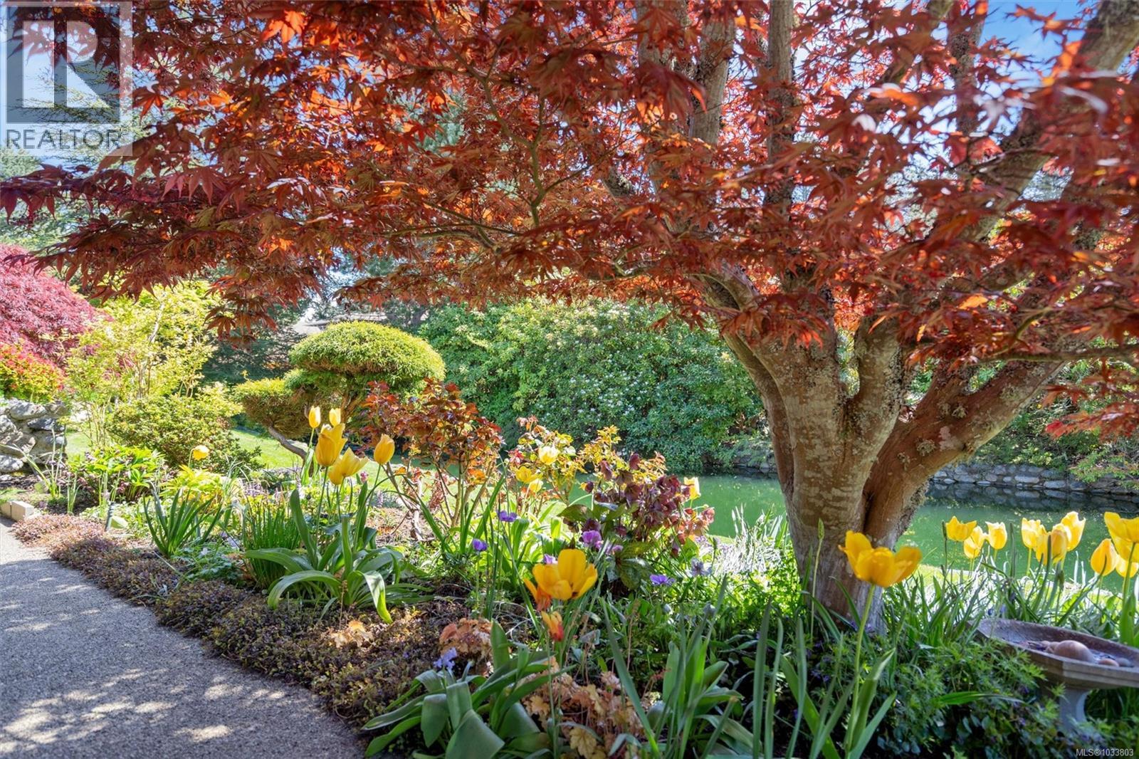 118 2345 Cedar Hill Cross Road, Oak Bay