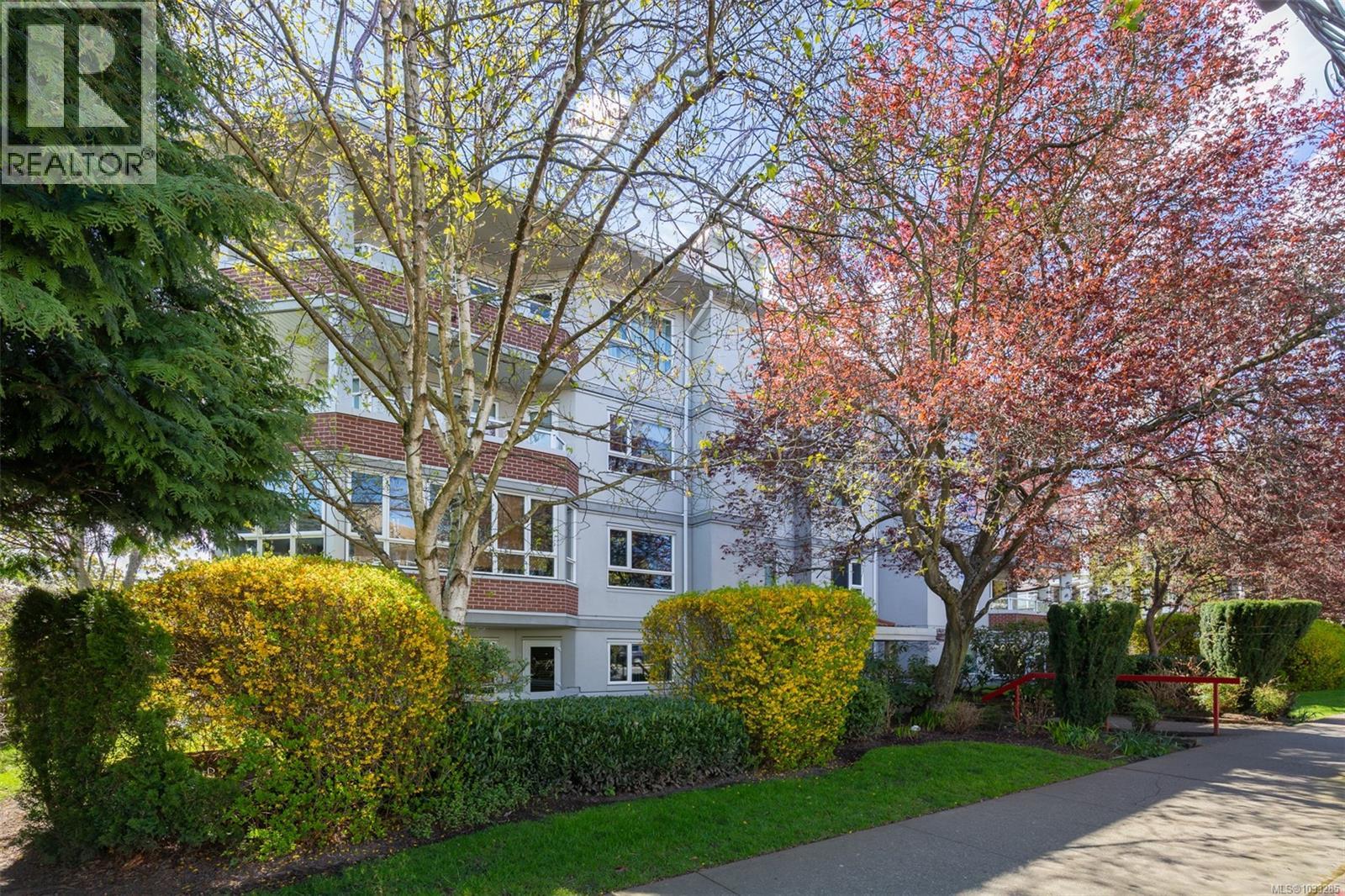 #103 1807 Oak Bay Ave - 1