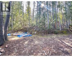 5305 East Barriere Fsr Road, Barriere, BC V0E1E0 Photo 32