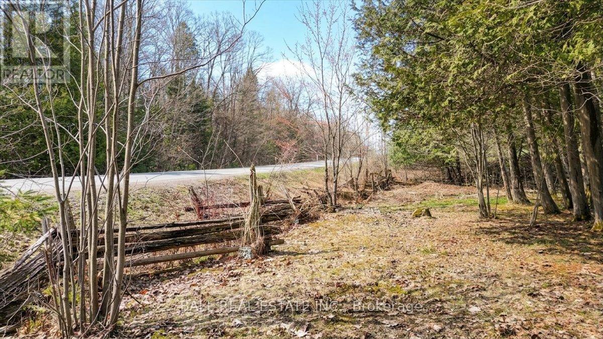 1893 CLYDESDALE ROAD - 37