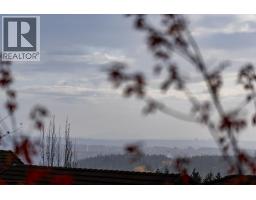 2517 Platinum Lane, Coquitlam, BC V3E3L1 Photo 28