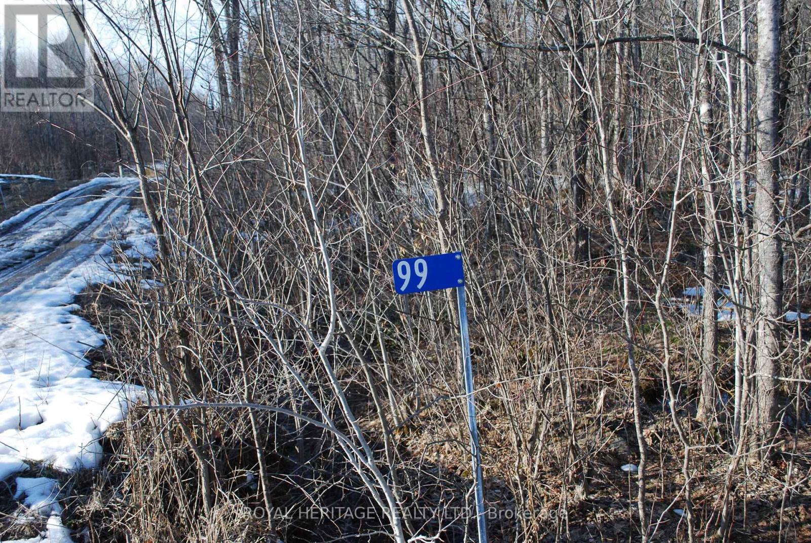 99 FUTURE LANE