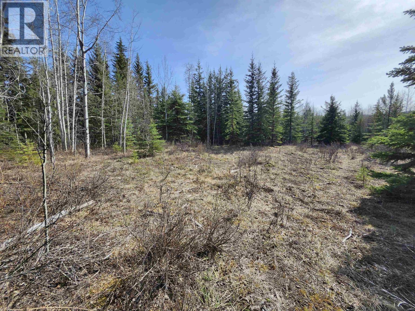 LOT 7 BINTA MAIN FOREST SERVICE Road, Burns Lake