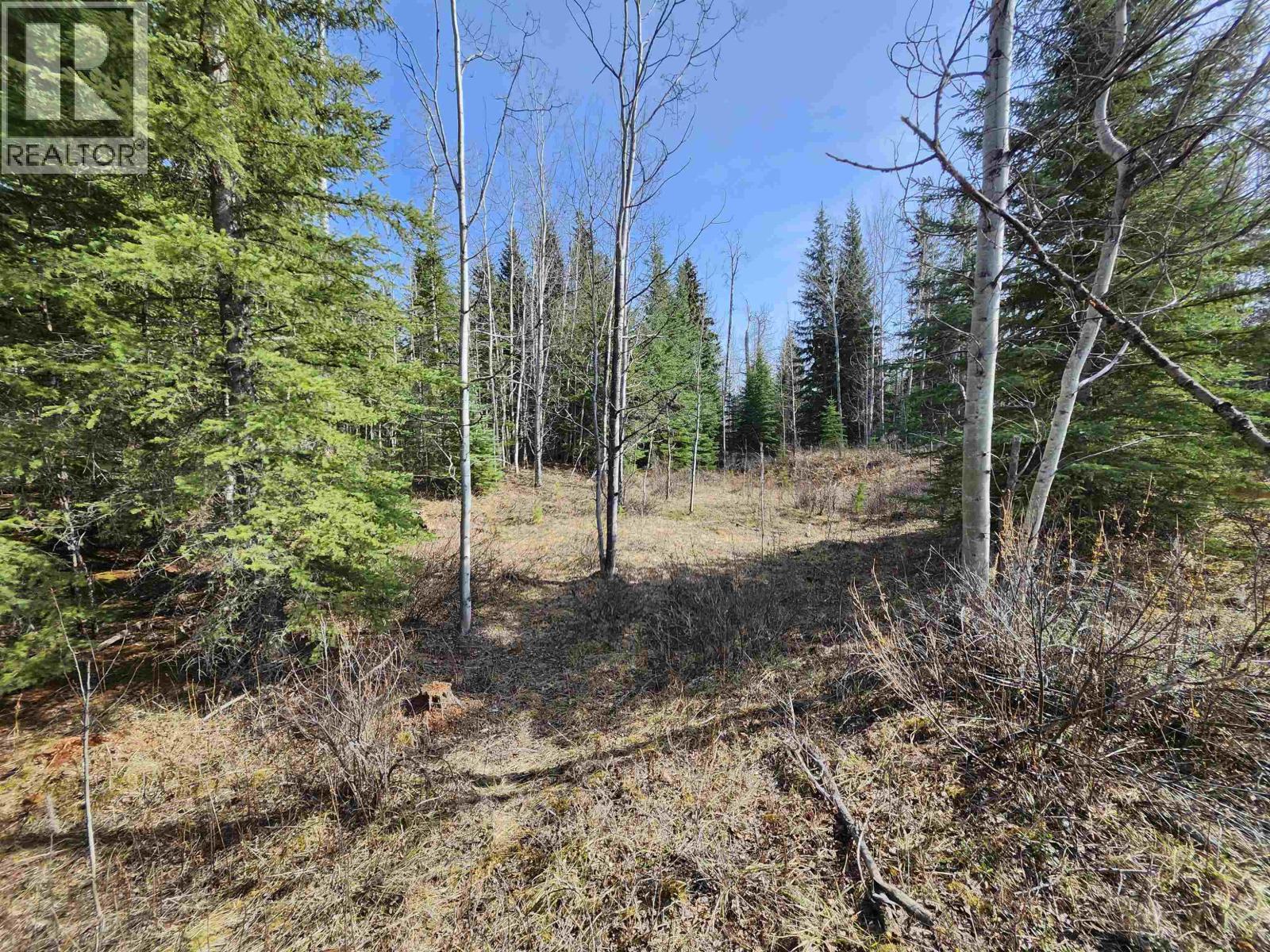 LOT 7 BINTA MAIN FOREST SERVICE Road, Burns Lake