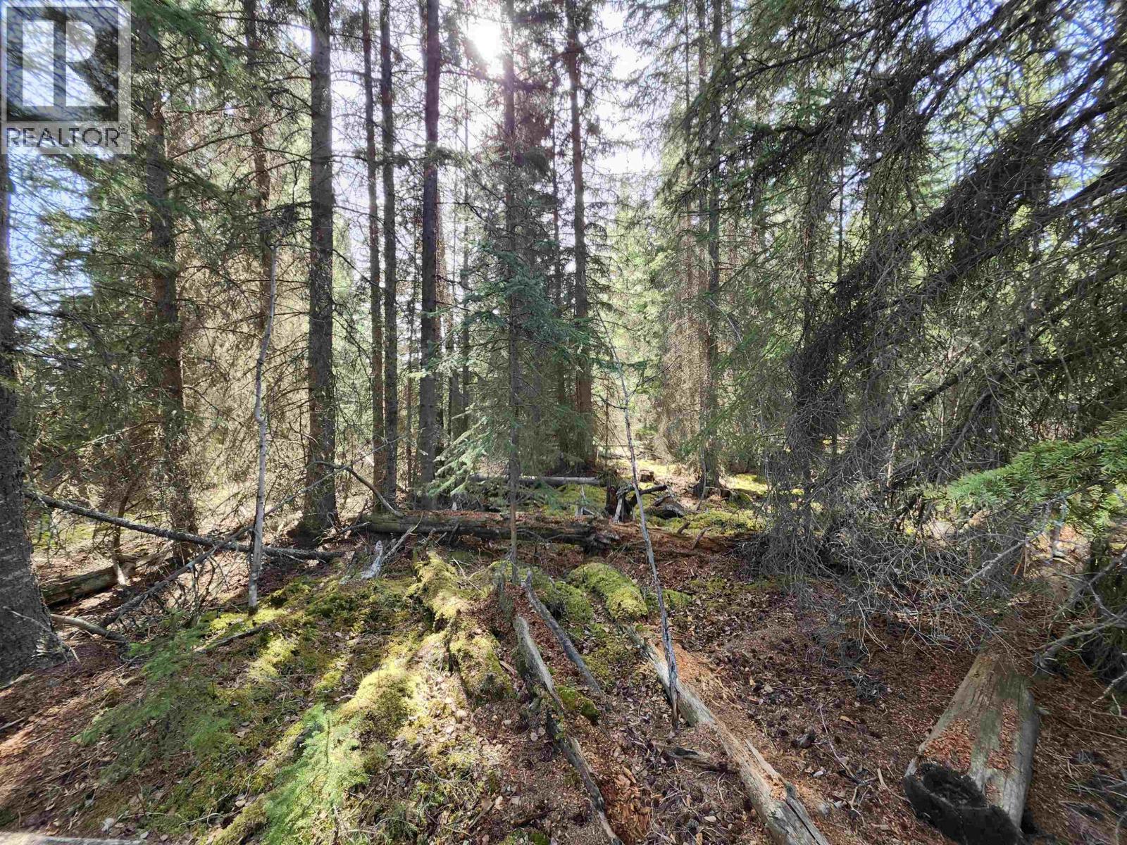 LOT 7 BINTA MAIN FOREST SERVICE Road, Burns Lake