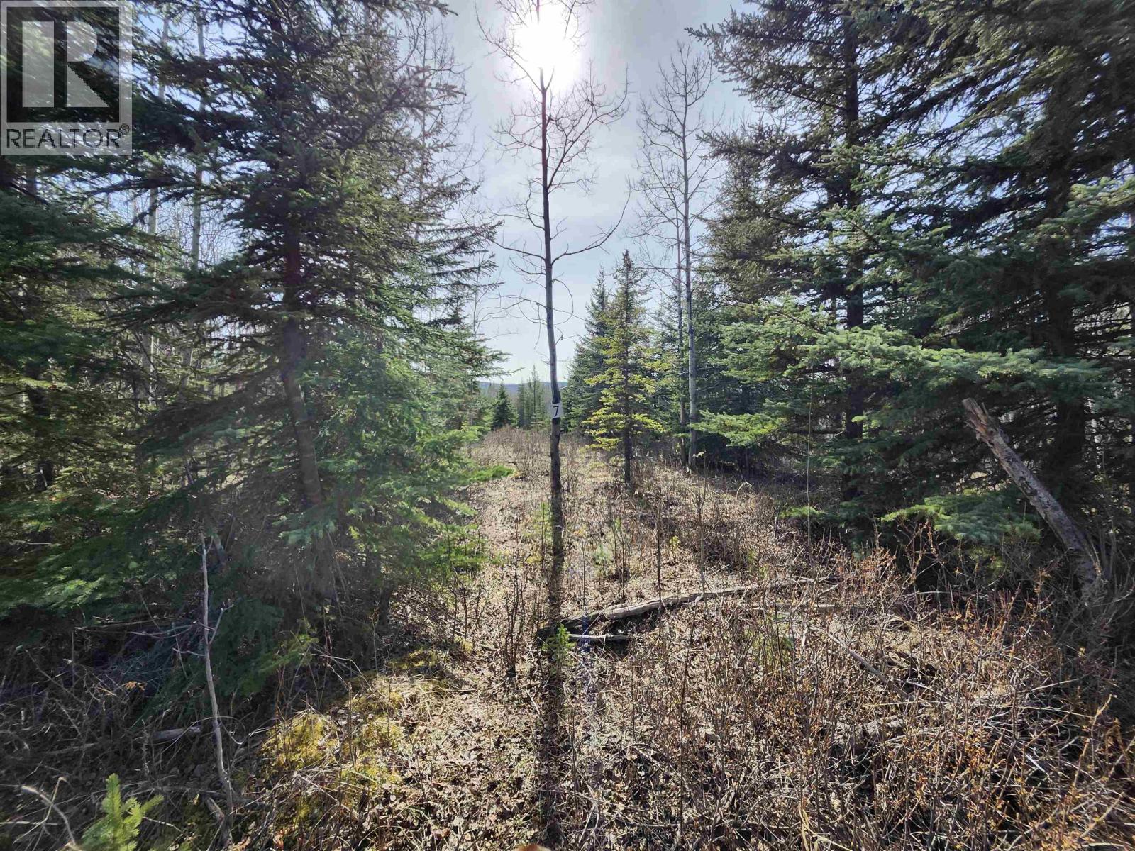 LOT 7 BINTA MAIN FOREST SERVICE Road, Burns Lake