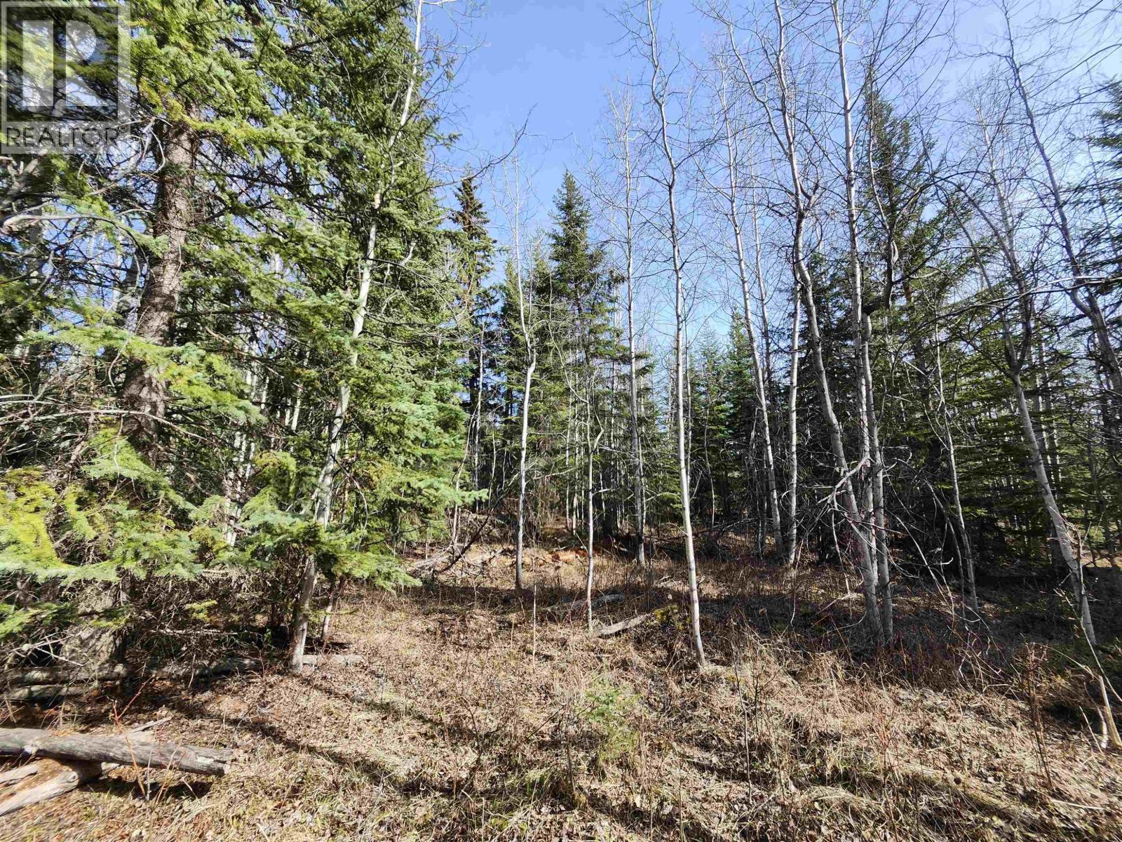 LOT 7 BINTA MAIN FOREST SERVICE Road, Burns Lake