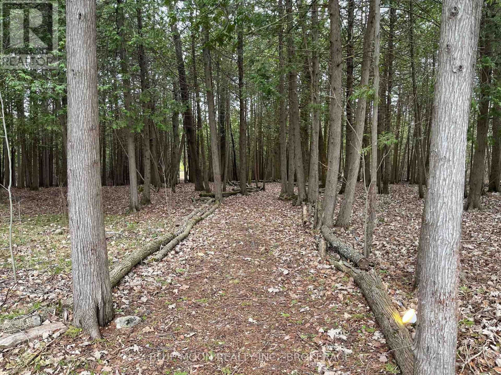 36 RIVERWOOD COVE, Stone Mills (Stone Mills), Ontario, K0K3N0 — Photo 39