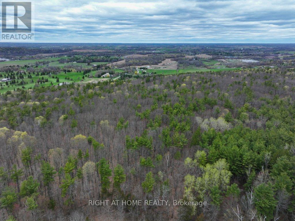 262 GOLF COURSE ROAD W