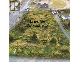 5 Thicket Road thumbnail 5