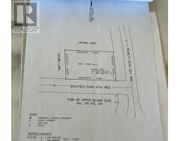 5 Thicket Road thumbnail 6