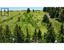 Lot 7 Pictou Island Road, Pictou Island, NS B0K1J0 Photo 7