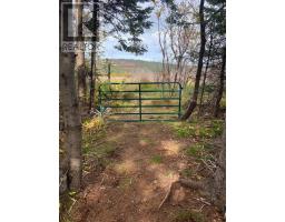 0 Lance Cove Road thumbnail 13