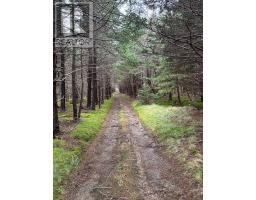 0 Lance Cove Road thumbnail 3