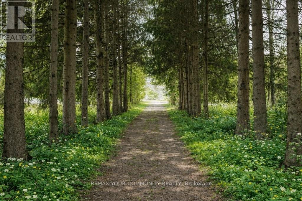 22772 WEIRS SIDE ROAD - 2