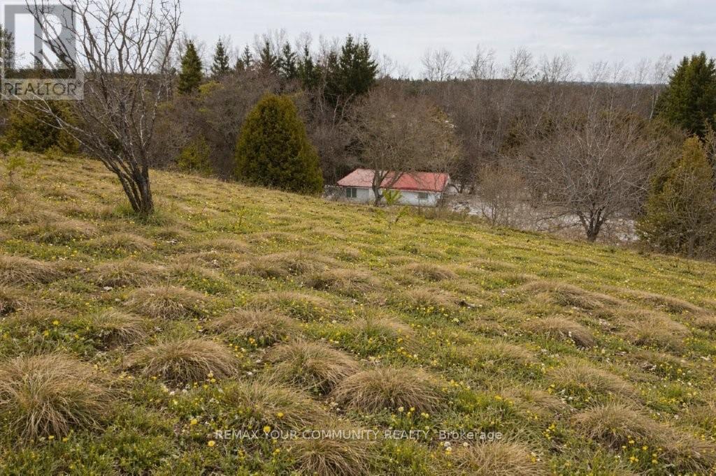 22772 WEIRS SIDE ROAD - 3