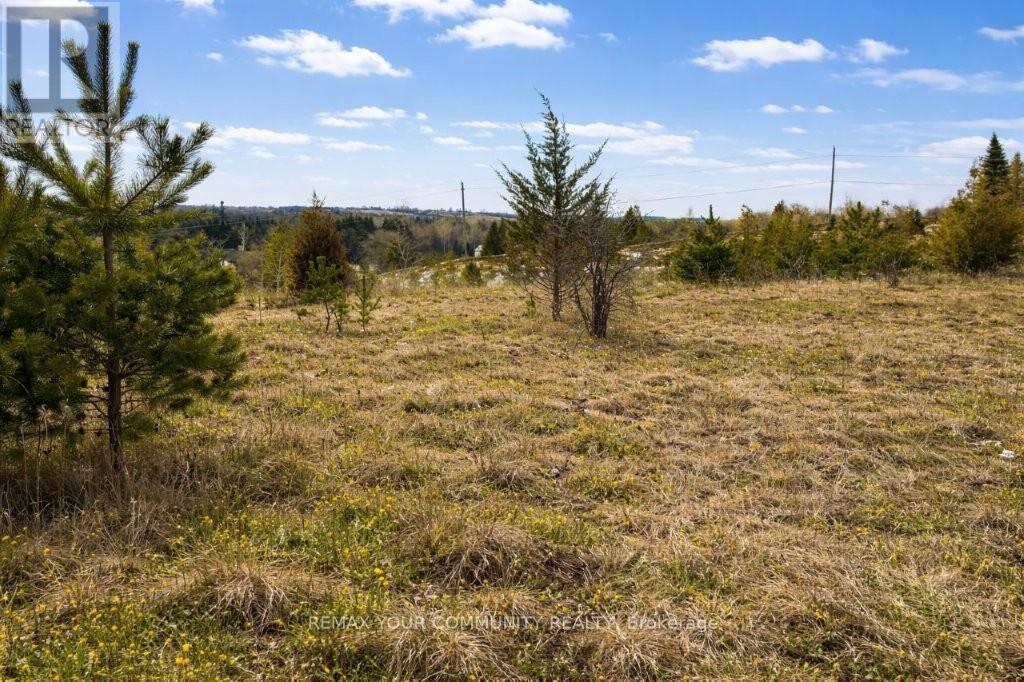 22772 WEIRS SIDE ROAD - 6
