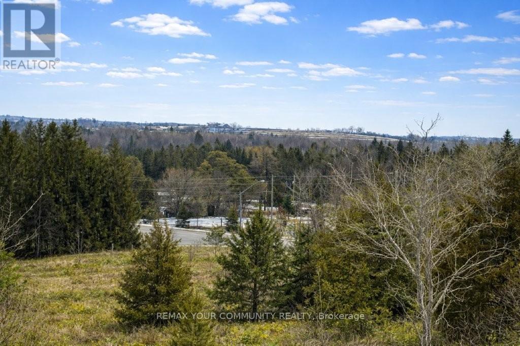 22772 WEIRS SIDE ROAD - 7