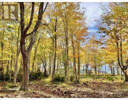 Shore Road, Hwy #219, Chimney Corner, NS B0E2B0 Photo 12