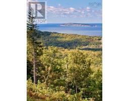 Shore Road, Hwy #219, Chimney Corner, NS B0E2B0 Photo 15