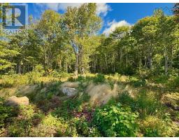 Shore Road, Hwy #219, Chimney Corner, NS B0E2B0 Photo 26