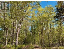 Shore Road, Hwy #219, Chimney Corner, NS B0E2B0 Photo 18