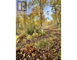 Shore Road, Hwy #219, Chimney Corner, NS B0E2B0 Photo 29