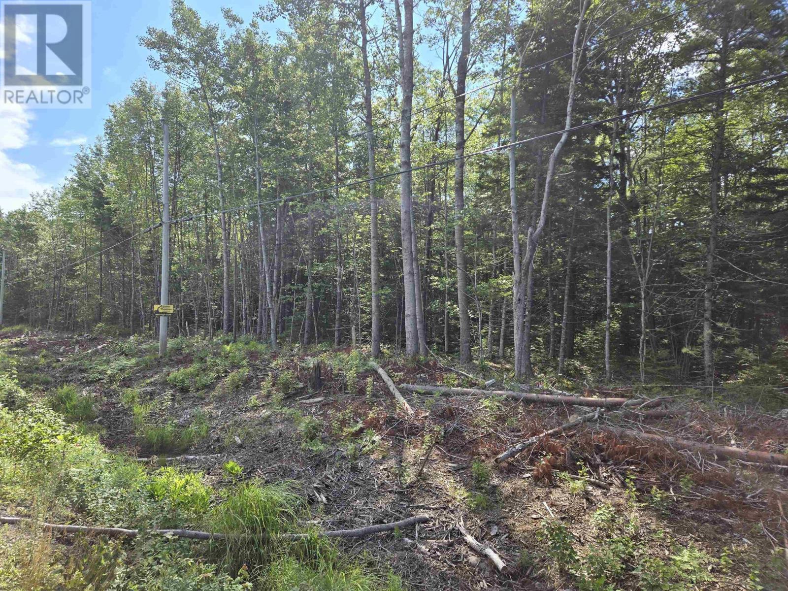 Property 2 of 2 of Lot 1 Conquerall Road