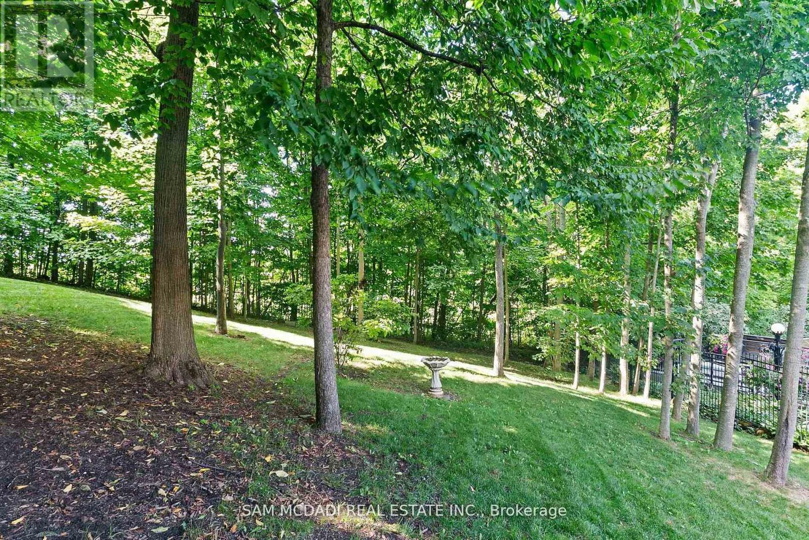 10140 PINEVIEW TRAIL - 47