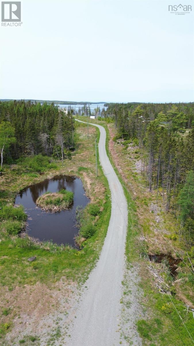 1589 Corbetts Cove Road - 46