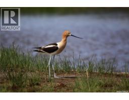 6 Bronco Drive, Delaronde Lake, SK S0J0E0 Photo 36