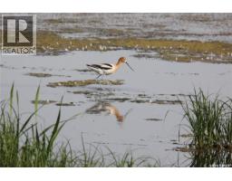 6 Bronco Drive, Delaronde Lake, SK S0J0E0 Photo 37
