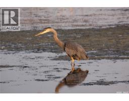 6 Bronco Drive, Delaronde Lake, SK S0J0E0 Photo 38