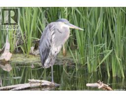 6 Bronco Drive, Delaronde Lake, SK S0J0E0 Photo 39