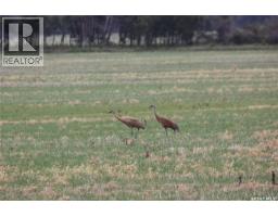6 Bronco Drive, Delaronde Lake, SK S0J0E0 Photo 40