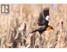 6 Bronco Drive, Delaronde Lake, SK S0J0E0 Photo 42