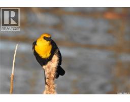 6 Bronco Drive, Delaronde Lake, SK S0J0E0 Photo 44