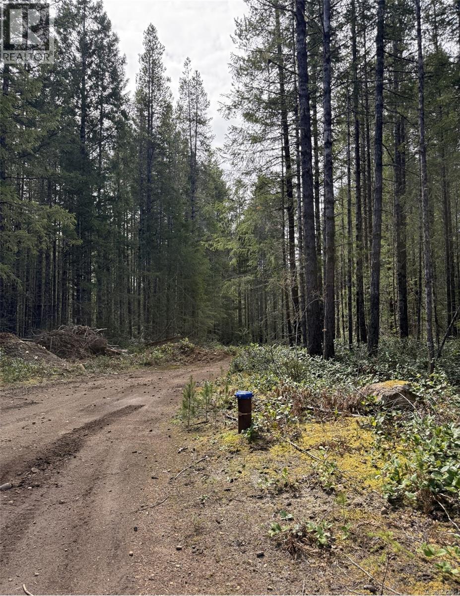 Lot B Anderson Ave — photo 12