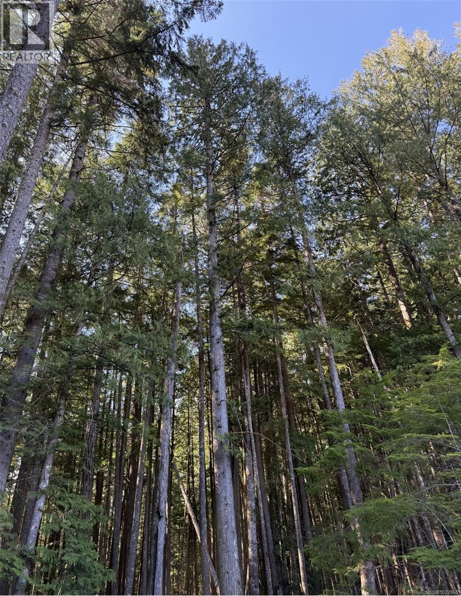 Lot A Anderson Ave — photo 16