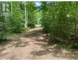 Lot 9 Lower Craigmont Road, Madawaska Valley, ON K0J1B0 Photo 6